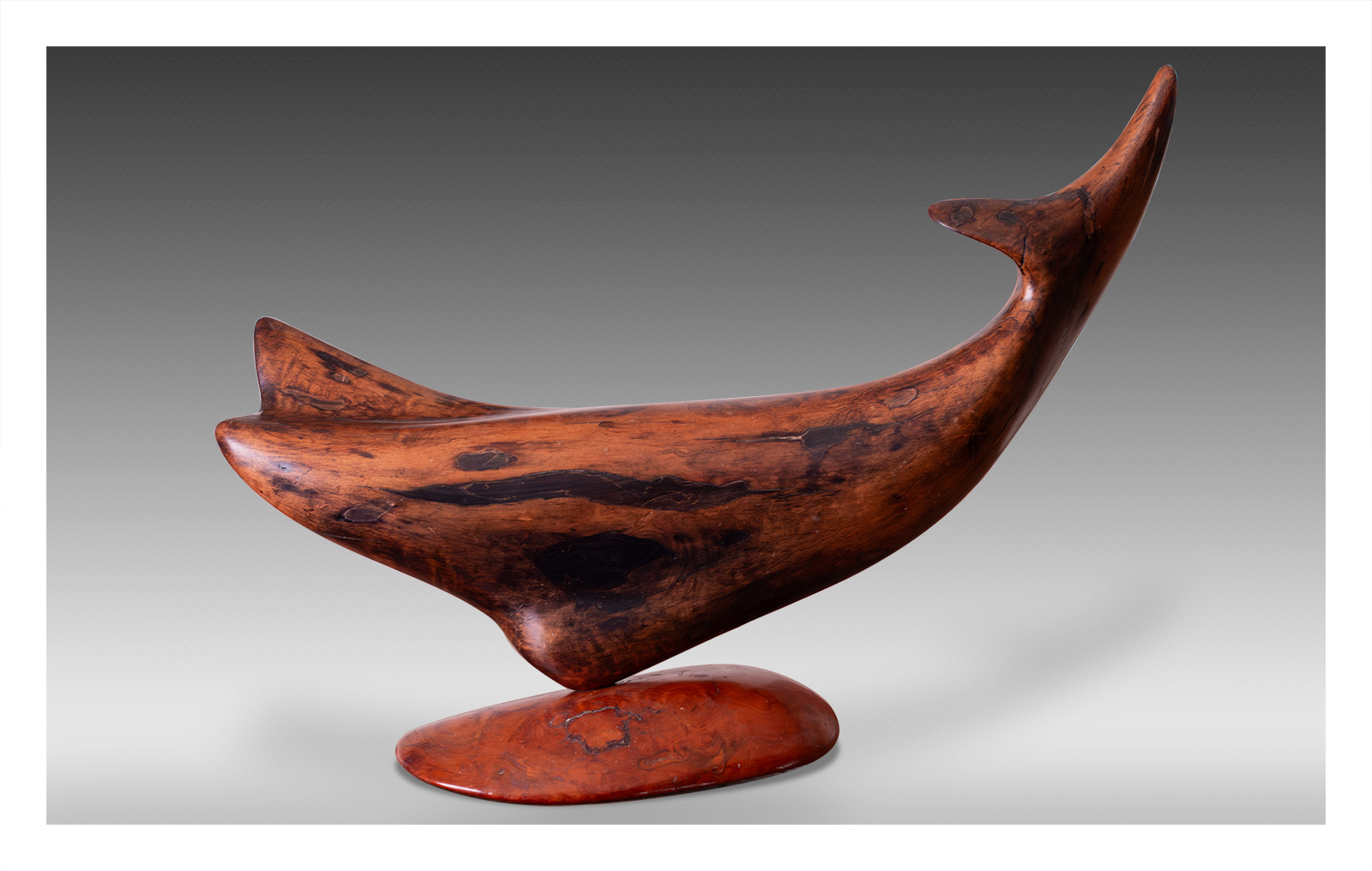 THE WHALES <br><small> 27 inches wide | medium- redwood root</small>